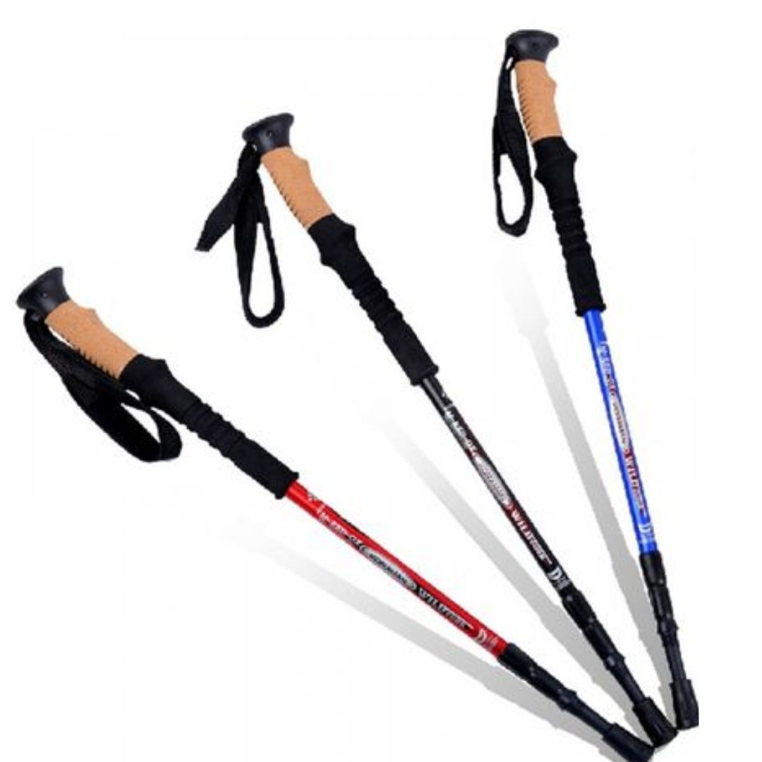 Renting trekking poles: A budget-friendly way to ensure balance and support on Himalayan trails