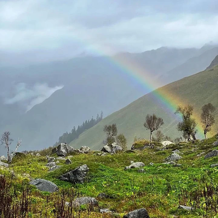 Lush alpine meadows along the Har Ki Dun trek