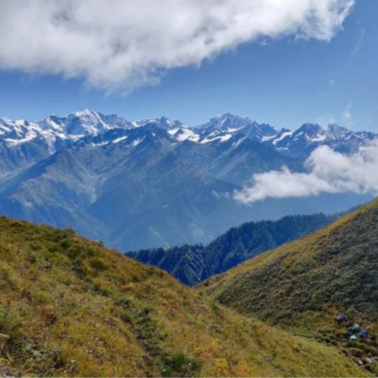 "Golden meadows with distant snow-capped Himalayan mountains on the Phulara Ridge trek.